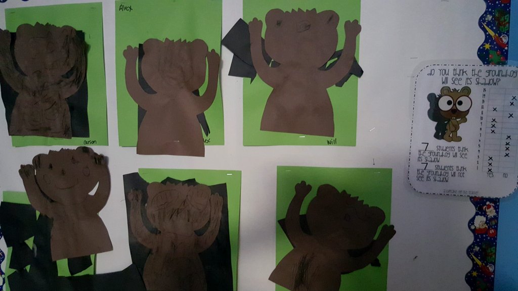 We voted: Will the groundhog see his shadow or not?